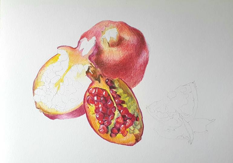 Original Realism Food & Drink Drawing by Natasha Sokolnikova