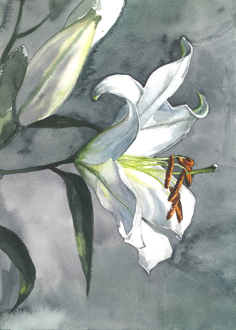 Original Illustration Floral Painting by Natasha Sokolnikova