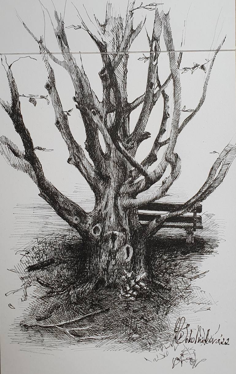 Original Expressionism Nature Drawing by Natasha Sokolnikova