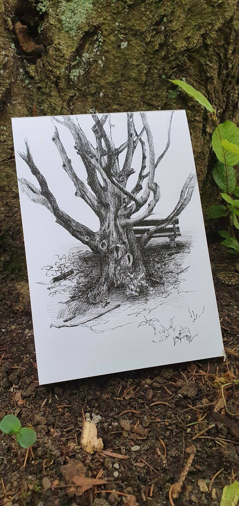 Original Expressionism Nature Drawing by Natasha Sokolnikova