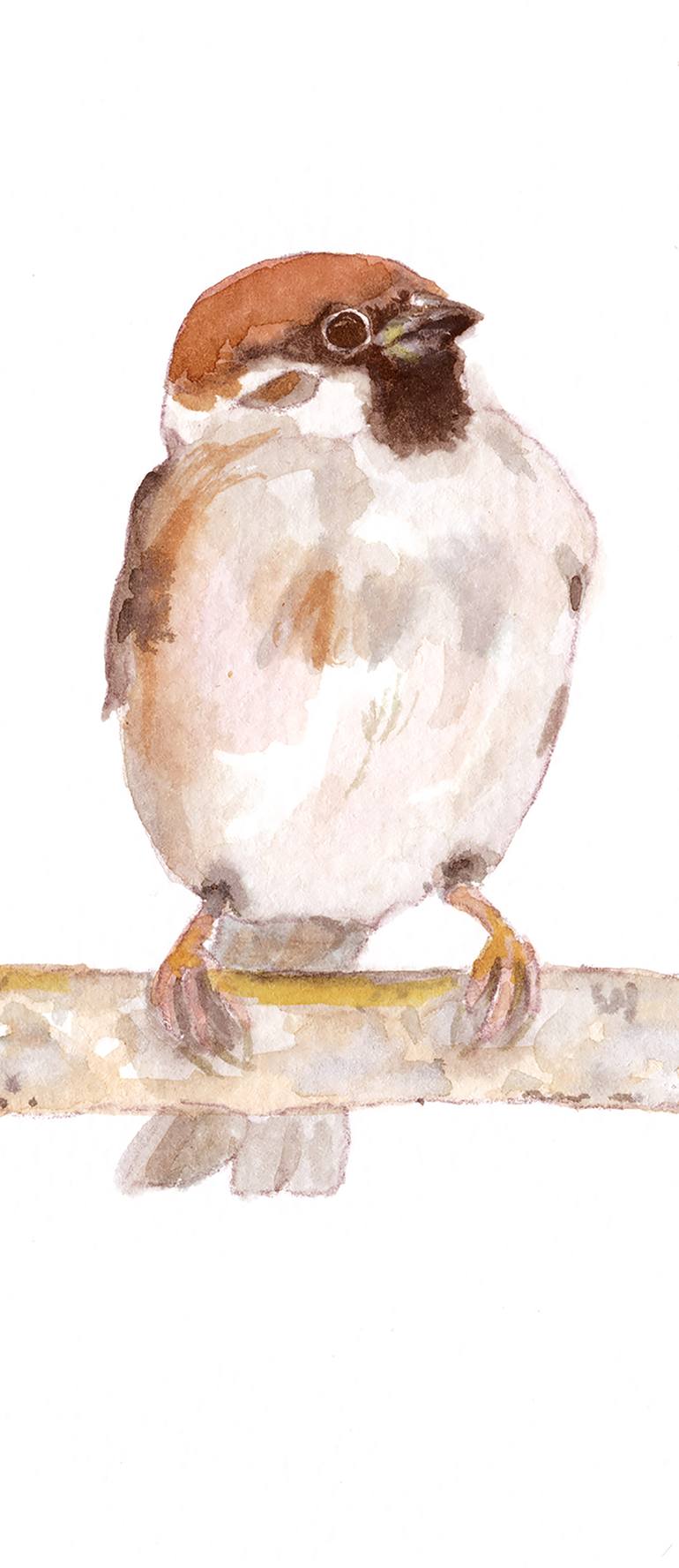 Original Modern Animal Painting by Elvira Errico