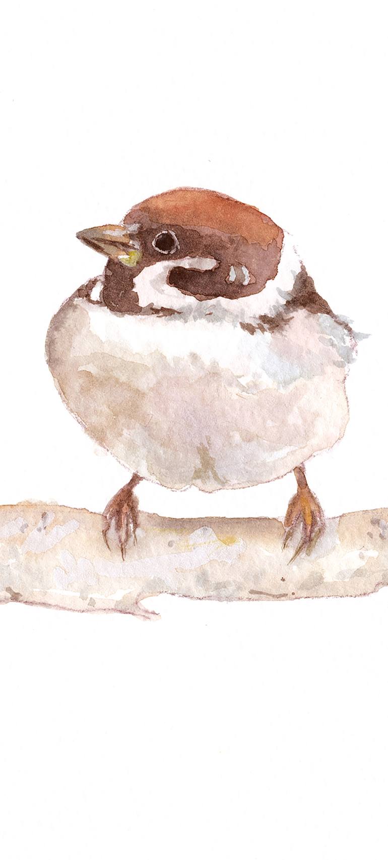 Original Modern Animal Painting by Elvira Errico