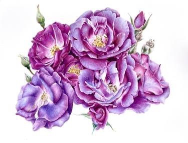 Original Fine Art Floral Paintings by Alisa Diakova