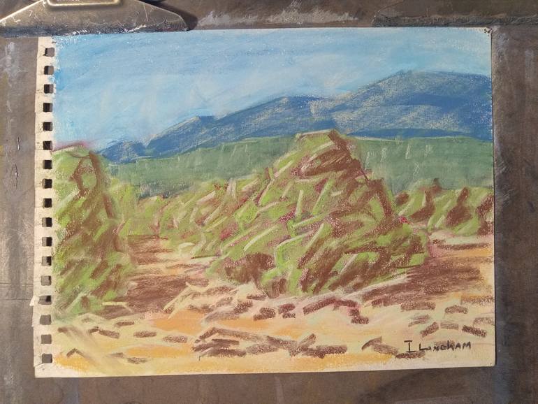 Original Contemporary Landscape Drawing by Ian Langham