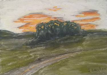 Original Impressionism Animal Drawing by Ian Langham