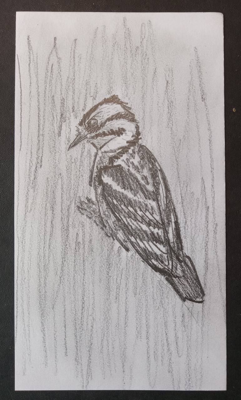 Original Black & White Animal Drawing by Ian Langham