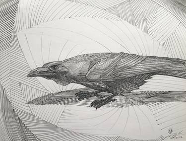 Original Nature Drawings by Ian Langham