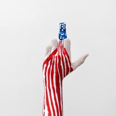 USA 2020 - Limited Edition of 9 thumb
