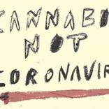 CANNABIS NOT CORONAVIRUS by Ollie Godwin