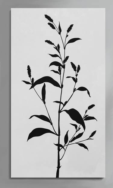 Original Black & White Botanic Paintings by Viktor Antonuyuk