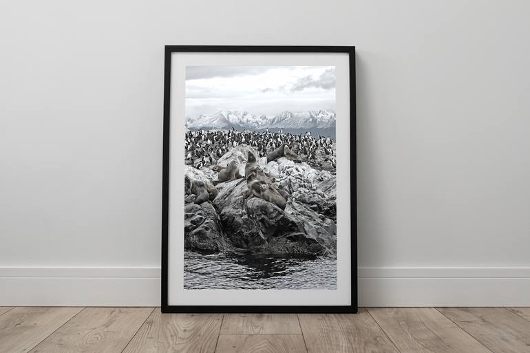 Original Documentary Animal Photography by Diego Villasenor