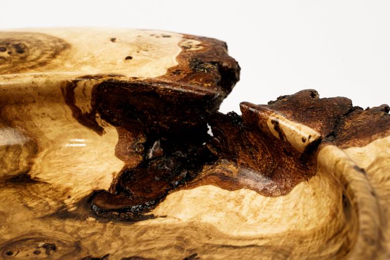 Original Other Abstract Sculpture by Michael Pliner