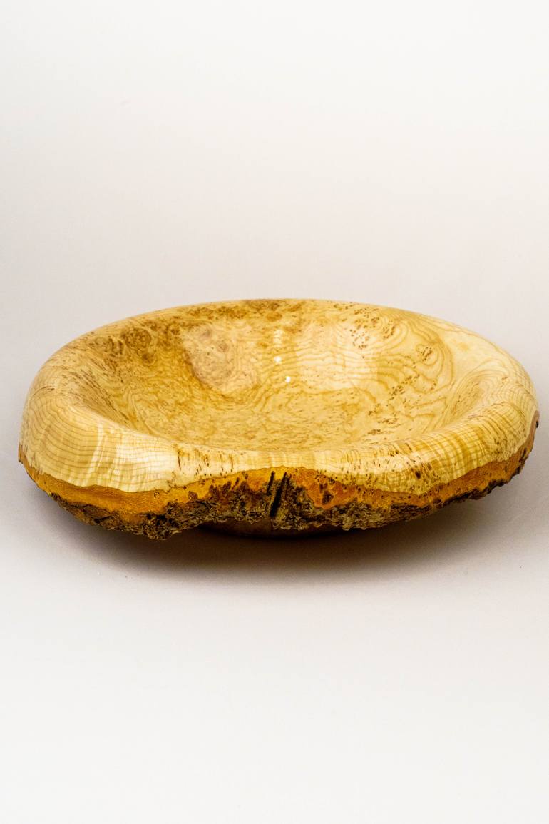 Original Other Abstract Sculpture by Michael Pliner