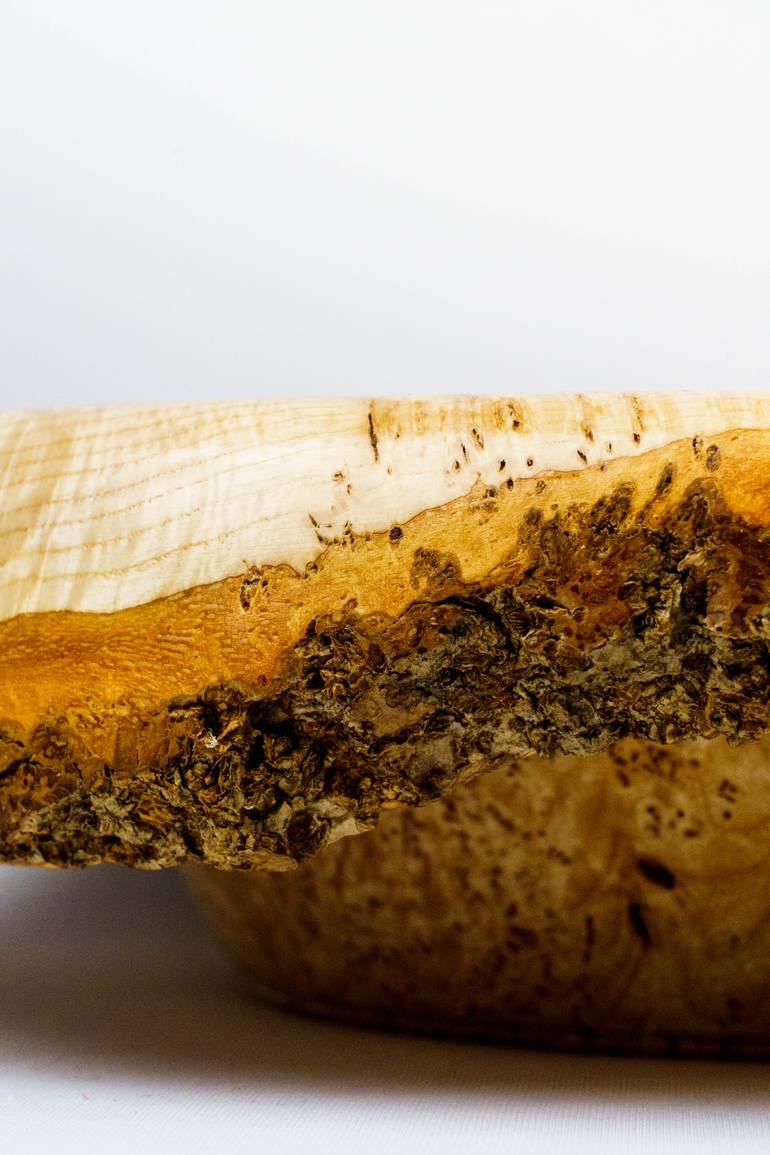 Original Other Abstract Sculpture by Michael Pliner