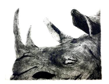 Original Animal Printmaking by Alessandro Francescatti