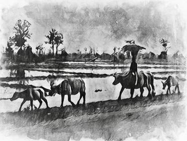 Village Boy and His Water Buffaloes, Thailand 1964 thumb