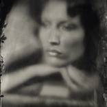 Collection Portraits