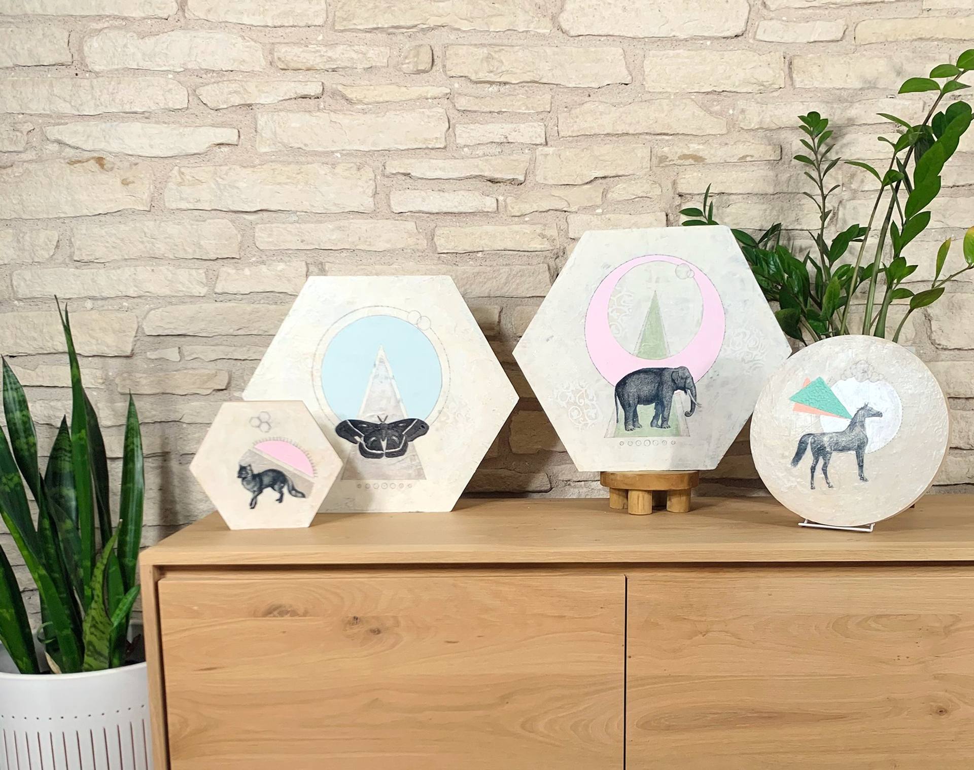 Animal Shield : Moth Hexagon Painting by Yasmin Youssef