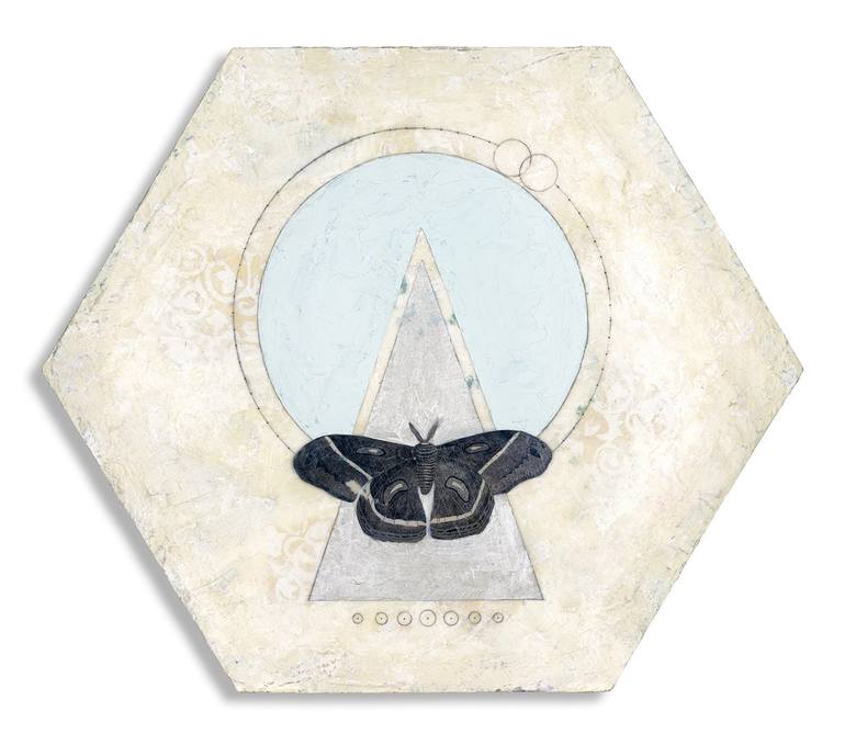 Animal Shield : Moth Hexagon Painting by Yasmin Youssef