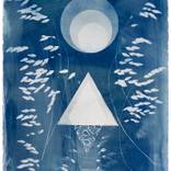 Collection Texas Locals