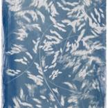 Sea of Sea Oats by Yasmin Youssef