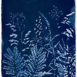 Nature's Bouquet in Blue by Yasmin Youssef