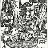 My Plants and Some of My Favourite Things [In My House] - Limited Edition of 30 by Laurie Vincent