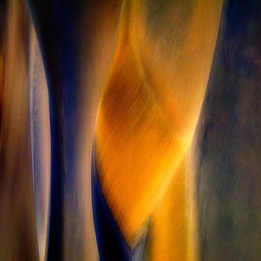 Original Abstract Expressionism Abstract Photography by Marek Boguszak