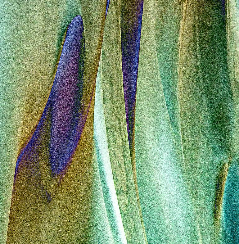 Original Abstract Expressionism Abstract Photography by Marek Boguszak