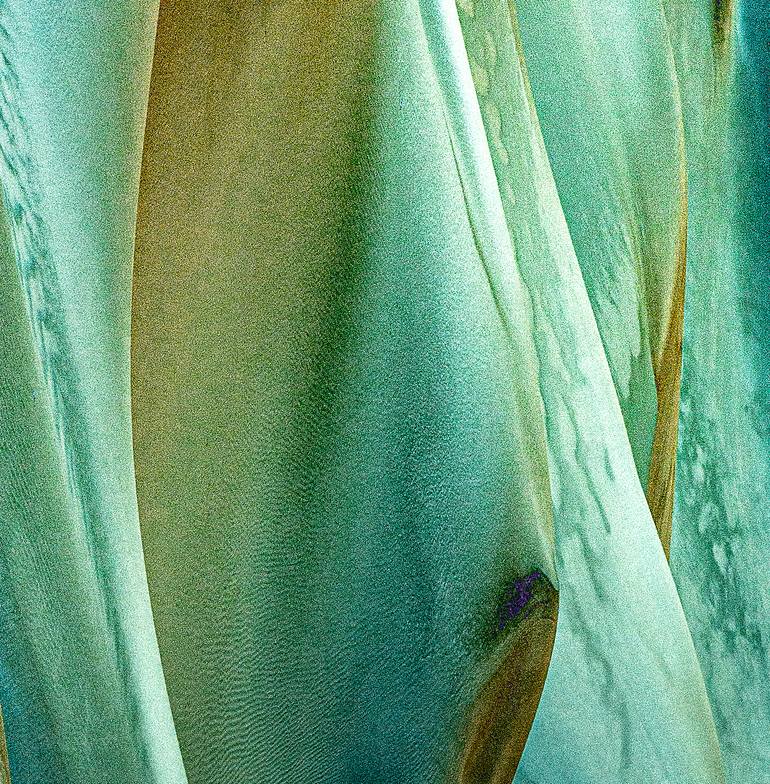 Original Abstract Expressionism Abstract Photography by Marek Boguszak