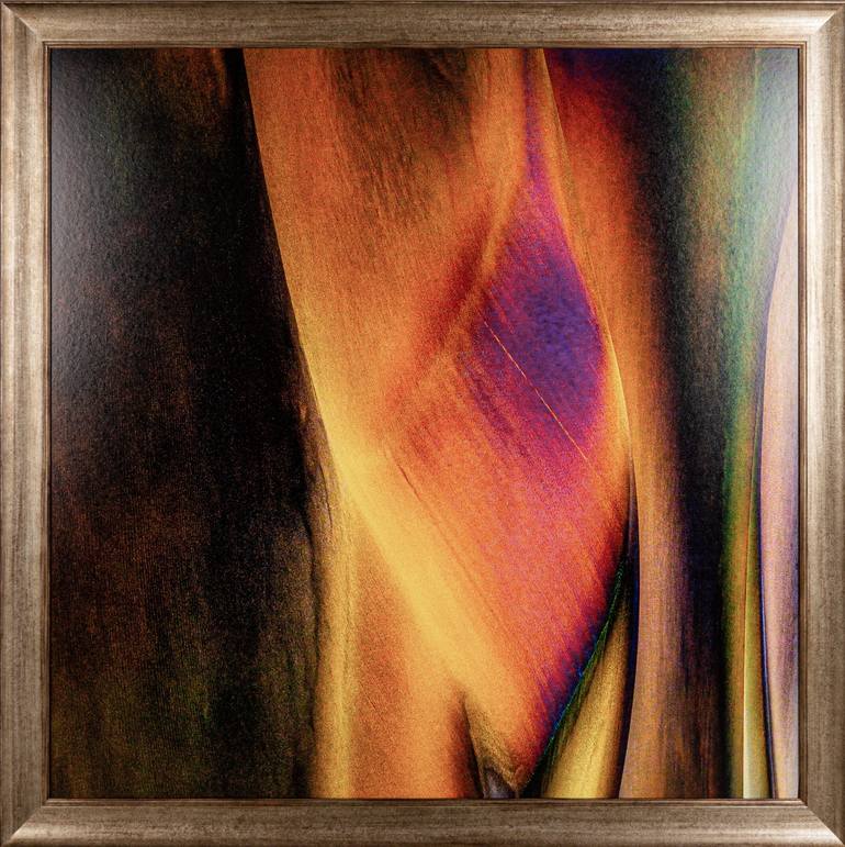 Original Abstract Expressionism Abstract Photography by Marek Boguszak