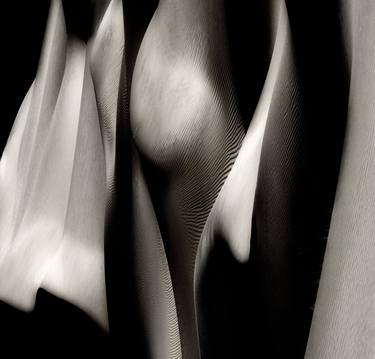 Original Abstract Photography by Marek Boguszak