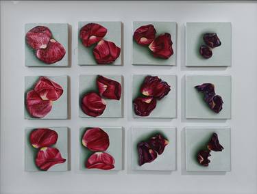 Print of Conceptual Floral Paintings by kalsoom iftikhar