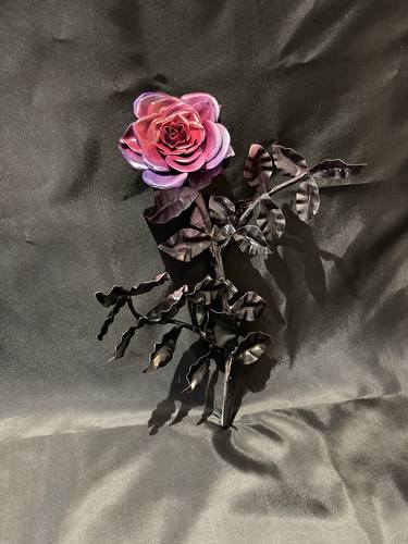 Black and Pink Rose thumb