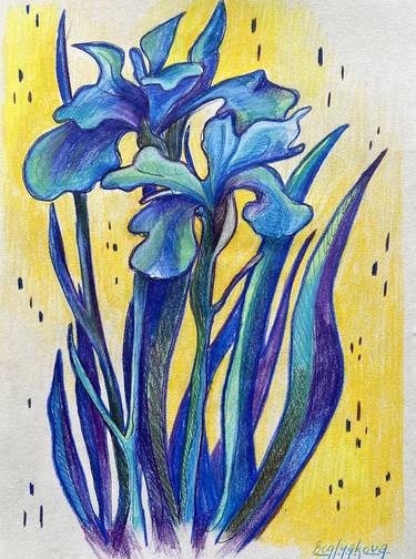 IRIS FLOWER - bright botanical drawing thumb