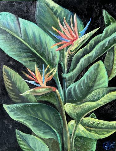 Strelitzia or Bird of paradise plant - oil on linen canvas thumb