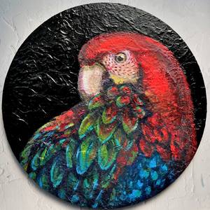 Collection BIRD COLLECTION