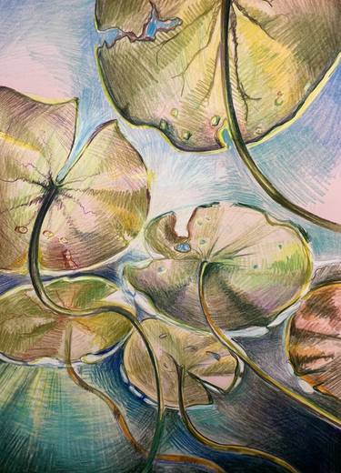 Under water lily pads - pencil drawing on paper thumb