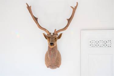 Parc Lodge edition lifesize Fallow Deer thumb