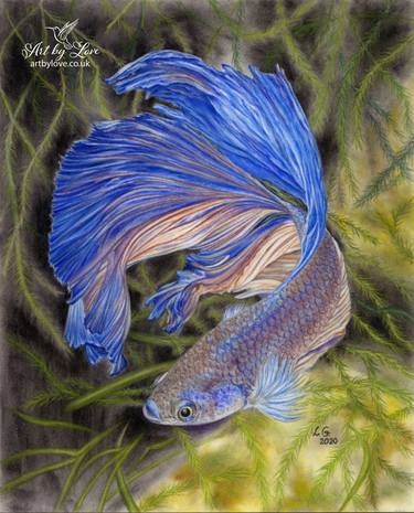 Original Illustration Fish Paintings by Love Grosmane