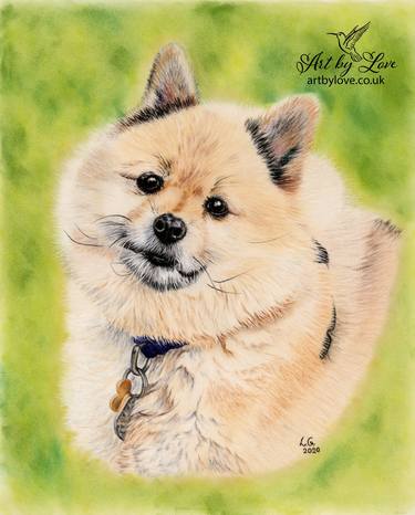Print of Dogs Drawings by Love Grosmane