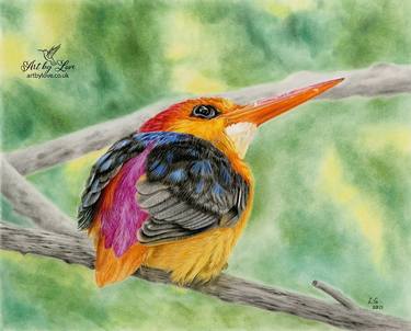 Original Fine Art Nature Drawings by Love Grosmane