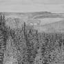 view additional image 1