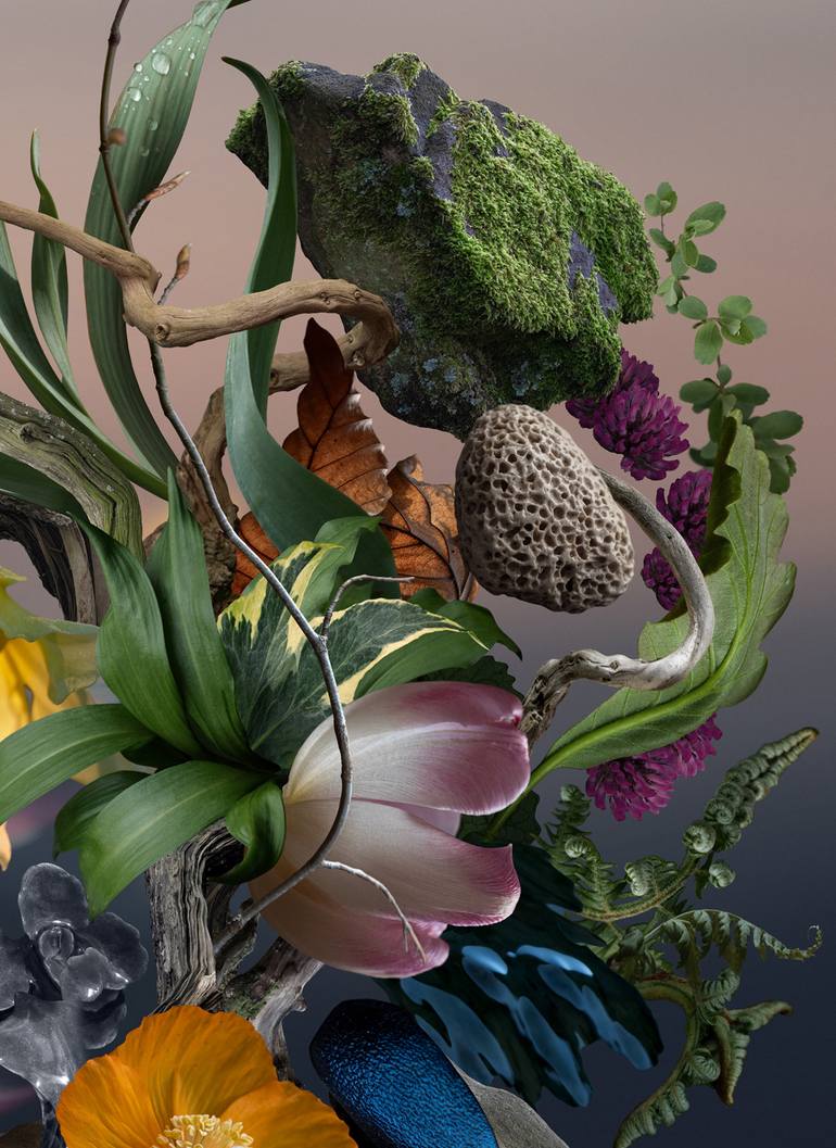 Original Digital Art Nature Photography by James Roper