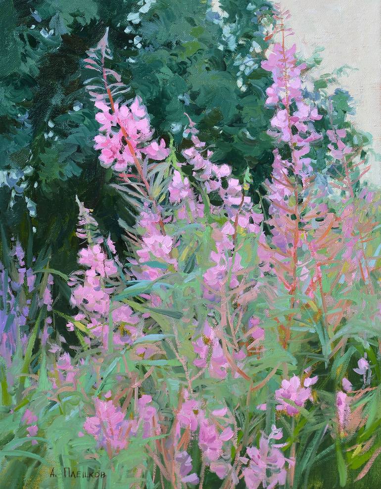 Fireweed blooms Painting by Aleksei Pleshkov | Saatchi Art