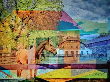 Horse Behind Wooden Fence - Limited Edition of 20 thumb