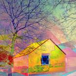 Yellow House by Violet Polsangi