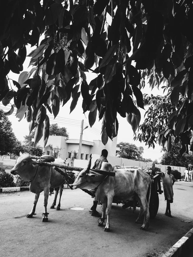 Original Documentary People Photography by Kemi Awoyemi