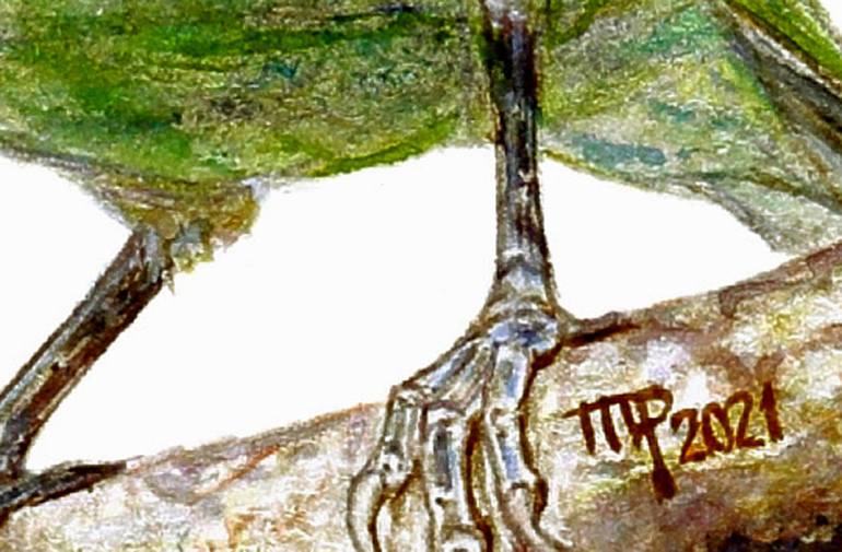 Original Figurative Animal Drawing by Marco Antonio Pineda Maldonado