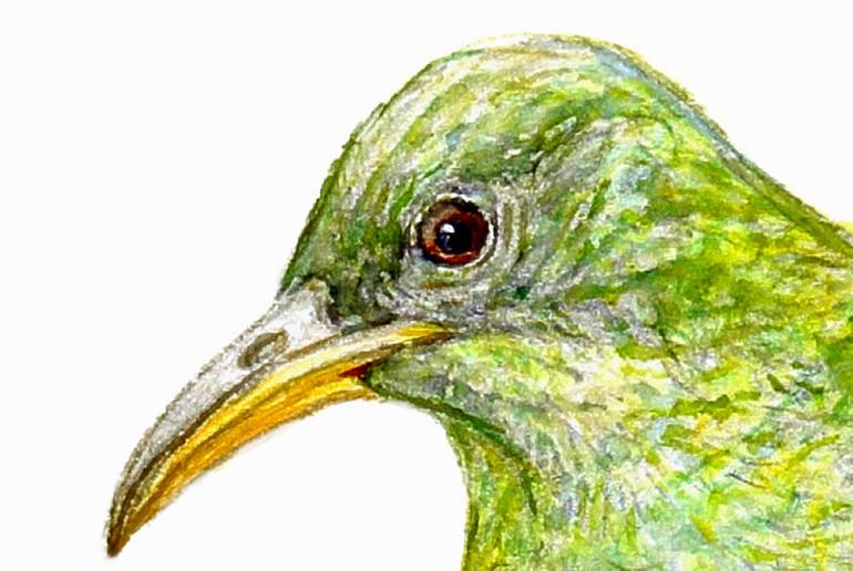 Original Figurative Animal Drawing by Marco Antonio Pineda Maldonado